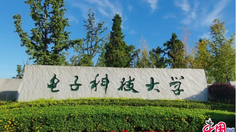 电容选型，这些关键点你get了吗？**