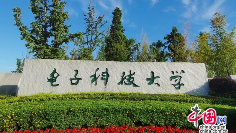电子元件材质分类：揭秘电子世界的基石**